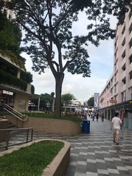 Bedok North Street 1 (D16), HDB Shop House #202400372